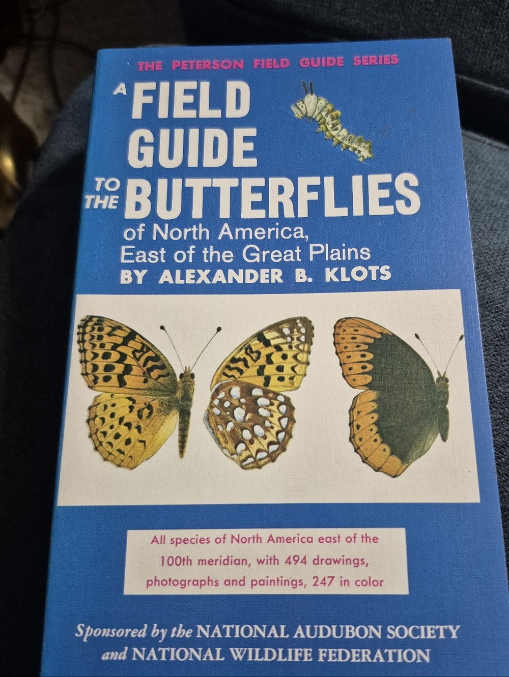 A Feild Guide To The Butterflies Of North America
